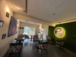5 BHK full luxury villa in Bhowali Nainital fast WiFi 5 BHK full luxury villa in Bhowali Nainital fast WiFi